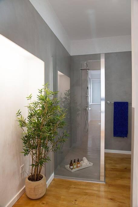 Cozy B&B In The Center Of Madrid مدريد المظهر الخارجي الصورة